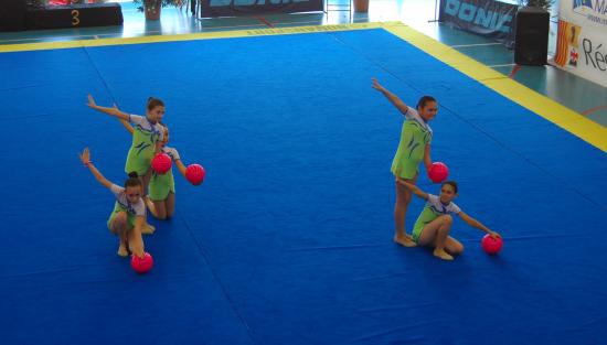 DC4 benjamines